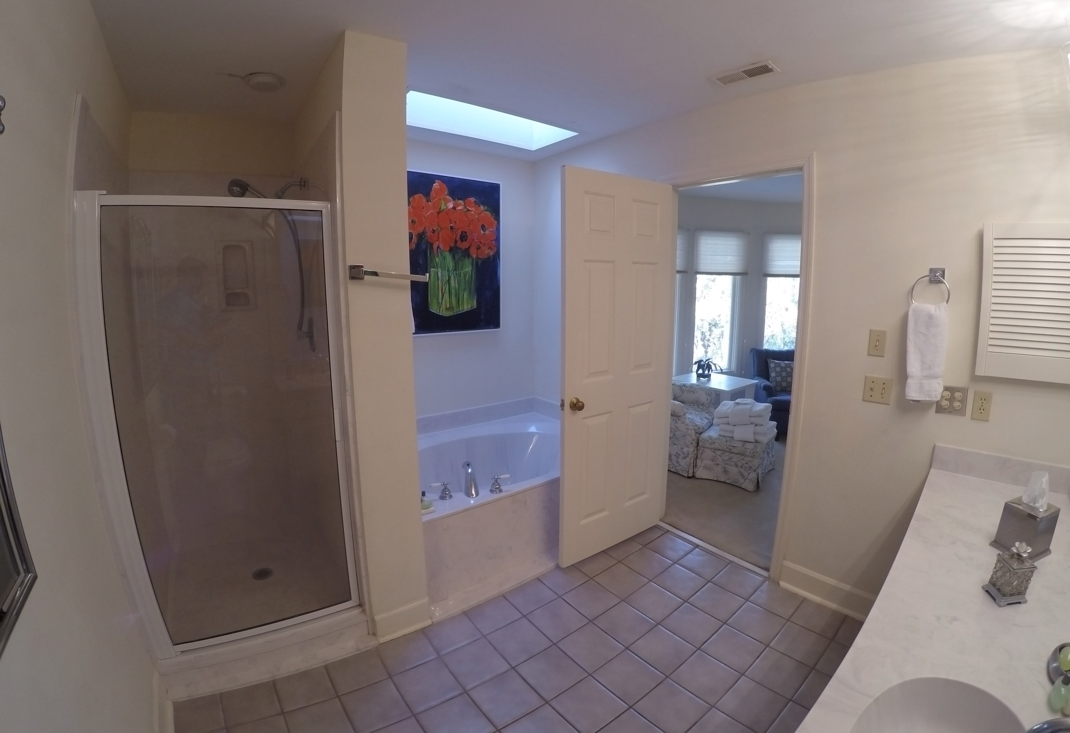 Main Master Bath   soaking tub w skylight, stall shower